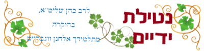מגבת נטילת ידיים בפסך וכל ימות השנה, דגם גפן