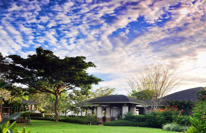 amorita resort bohol island