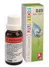 R49 JUNIOR