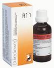 R11 טיפות