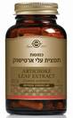 תמצית עלי ארטישוק (60 כמוסות) Artichoke Leaf Extract - סולגאר