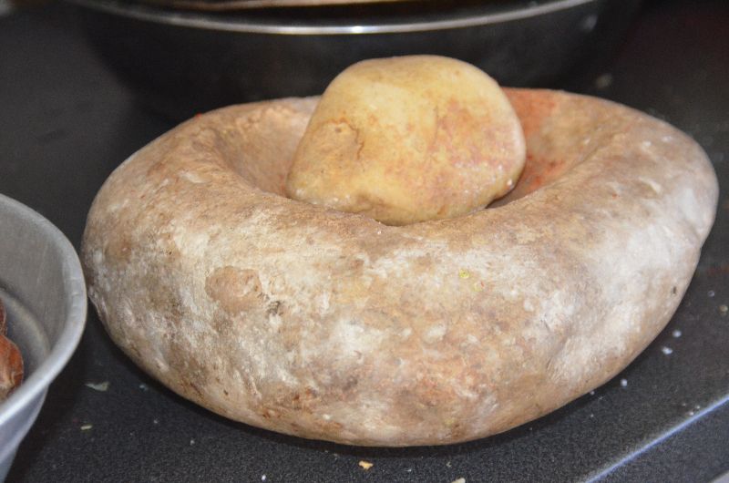חיטת הבר Triticum dicoccoides, ליקוט צמחים