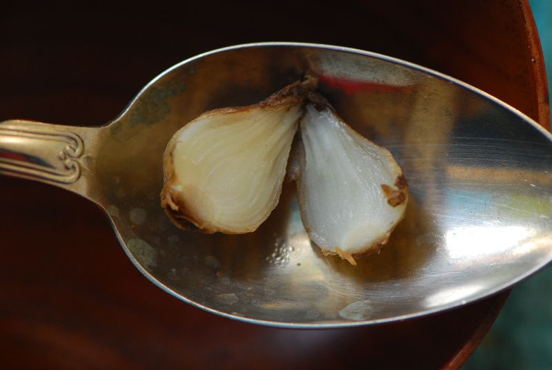 רומוליאה צידונית Romulea phoenicia, ליקוט, צמחי בר