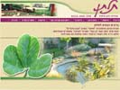 תלתן