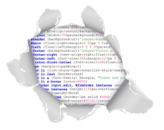 פלאש או HTML - בניית אתרים
