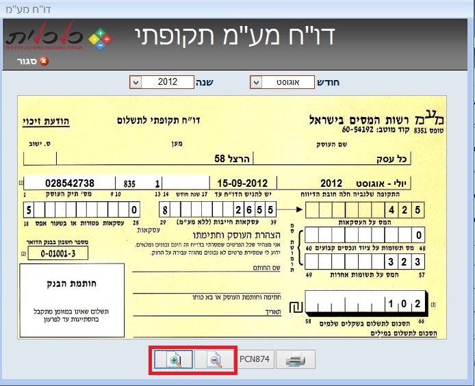 הצגת הכנסות והוצאות בדוח מע''מ