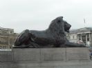 כיכר טרפלגר Trafalgar Square