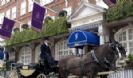 The Goring
