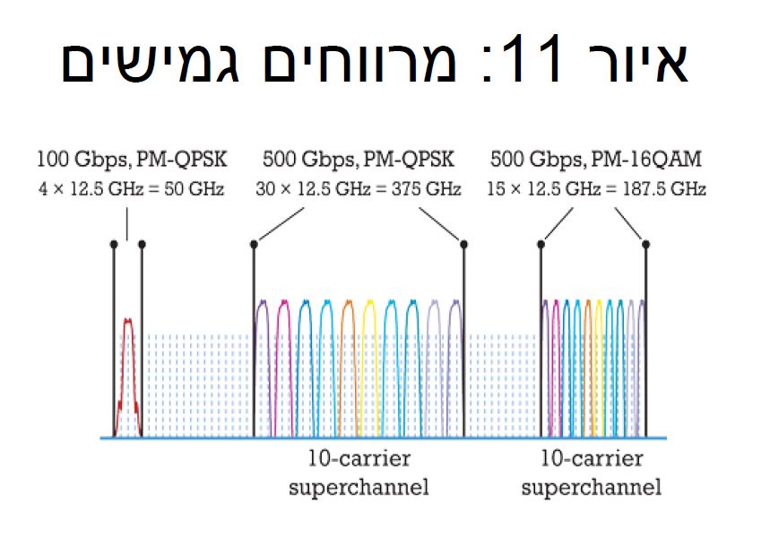 מרווחים גמישים על הסיבים