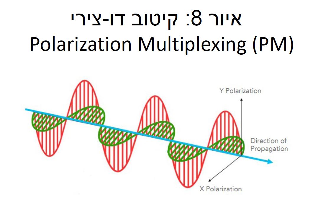 קיטוב דו-צירי