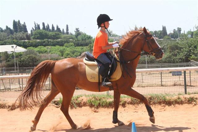 תוצאת תמונה עבור רוכבים על סוסים