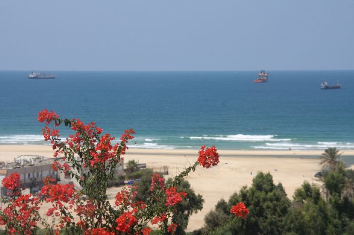 אשדוד שלא הכרתם. סיור טעים ומרתק באשדוד.