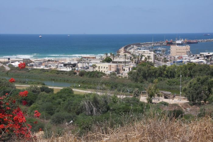 העיר הישראלית - סיור תרבותי וקולינרי באשדוד.