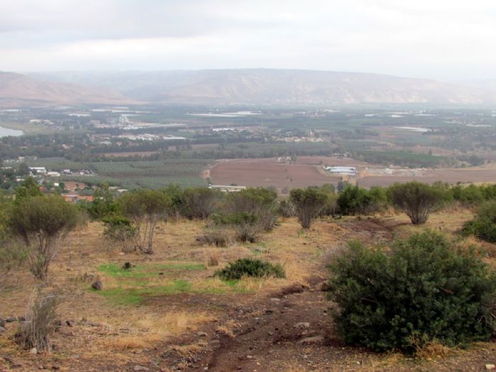 סיור קולינרי חווייתי בגליל העליון