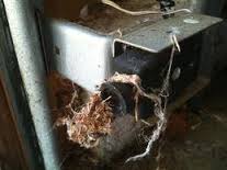 Garage door sensors- dust and dirt