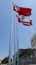 תורן פלדה קוני בגובה 15 מטר