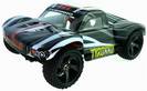מכונית שלט מדגם Tyronno 1/18