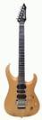 גיטרה חשמלית קורט עם פלויד CORT VIVA GOLD II WS