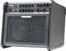 מגבר לאקוסטית פישמן 100 ואט FISHMAN LOUDBOX