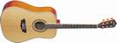 גיטרה אקוסטית וושבורן WASHBURN WD32SN