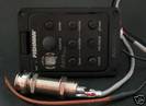 פיק אפ+אקולייזר פישמן FISHMAN AERO PLUS