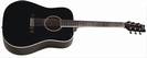 גיטרה אקוסטית וושבורן WASHBURN D10SB