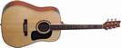 גיטרה אקוסטית וושבורן WASHBURN D10SOV Ovangkol