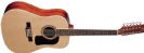 גיטרה אקוסטית וושבורן WASHBURN D10S12