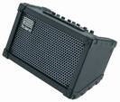 מגבר נייד רולנד ROLAND CUBE Street