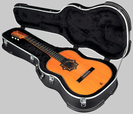 ארגז פיברגלס וורוויק WARWICK RC ABS 10408 B/SB