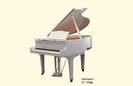 פסנתר כנף הרמן HERMANN H -155 white