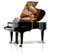 פסנתר כנף שימל SCHIMMEL K195 Tradition
