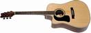 גיטרה אקוסטית וושבורן WASHBURN D10SCELH