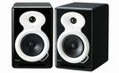 זוג מוניטורים אולפניים איקון ICON PX-C5A