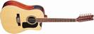 גיטרה אקוסטית וושבורן WASHBURN D10SCE12N