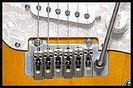 גשר + פישמן אקוסטי וילקינסון WILKINSON VS50P
