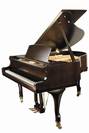 פסנתר כנף וגנר WAGNER GP-170-Y1