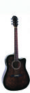 גיטרה אקוסטית מוגברת אומגה OMEGA FG-414CE-WBKS C. AWAY