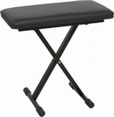 כסא לאורגן וורוויק WARWICK RS22910