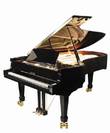 פסנתר כנף וגנר WAGNER GP-232-L1