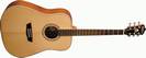גיטרה אקוסטית וושבורן WASHBURN WD10S