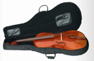 נרתיק דלוקס וורוויק לקונטרבס WARWICK RB16220B
