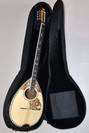 נרתיק וורוויק לבוזוקי פרימיום WARWICK RB20142B