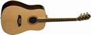 גיטרה אקוסטית וושבורן WASHBURN OD6SN