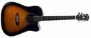 גיטרה אקוסטית מוגברת וושבורן WASHBURN WD10FCE-SB