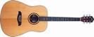 גיטרה אקוסטית וושבורן WASHBURN OD3SN