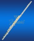 חליל צד JINMING LKFL-306SE