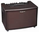 מגבר רולנד ROLAND AC-60 -RW