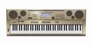אורגן קסיו CASIO AT-5