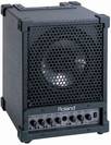 מוניטור נייד רולנד ROLAND CUBE Monitor CM-30